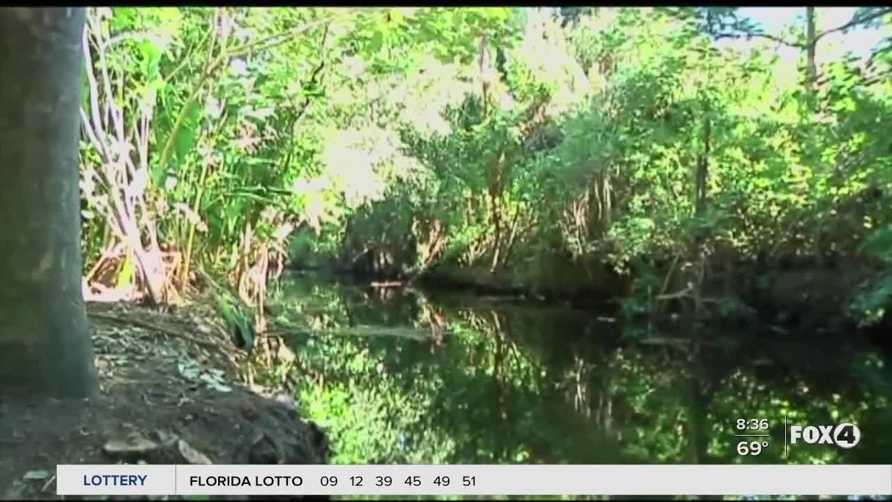 City of Fort Myers, environmental groups plan to work together to control creek contamination