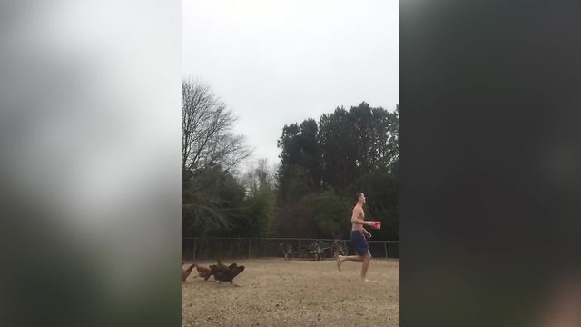 Teen Boy VS Chickens: An unusual running crew