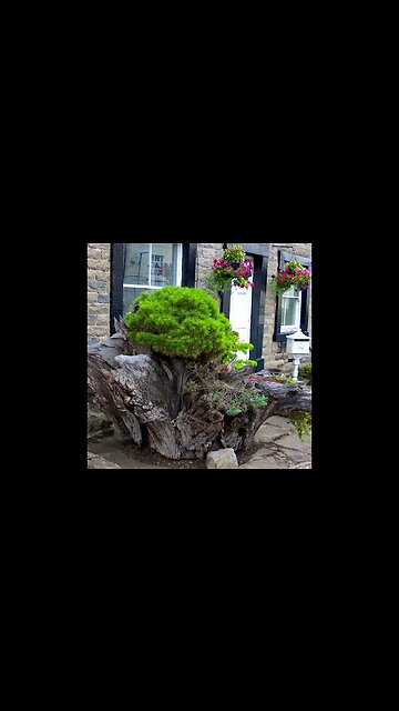 Walk about the Middleham village before the the castle.