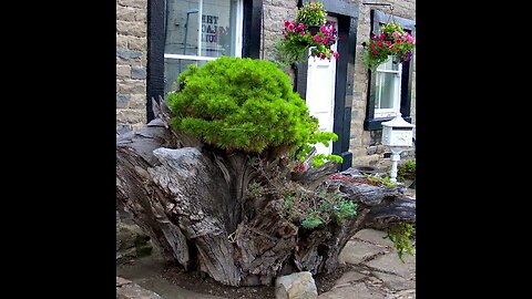 Walk about the Middleham village before the the castle.