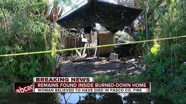 Remains found inside burned-down home