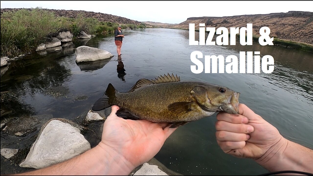 Lizard and smallmouth on the Snake River | Fishing with Ryan #3