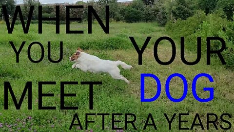 when you _meet your dog _after a year!!!