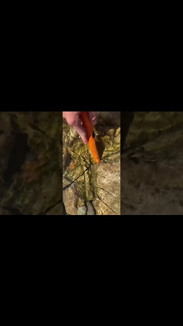 Unbelievable find jammed in the bedrock! #metaldetecting