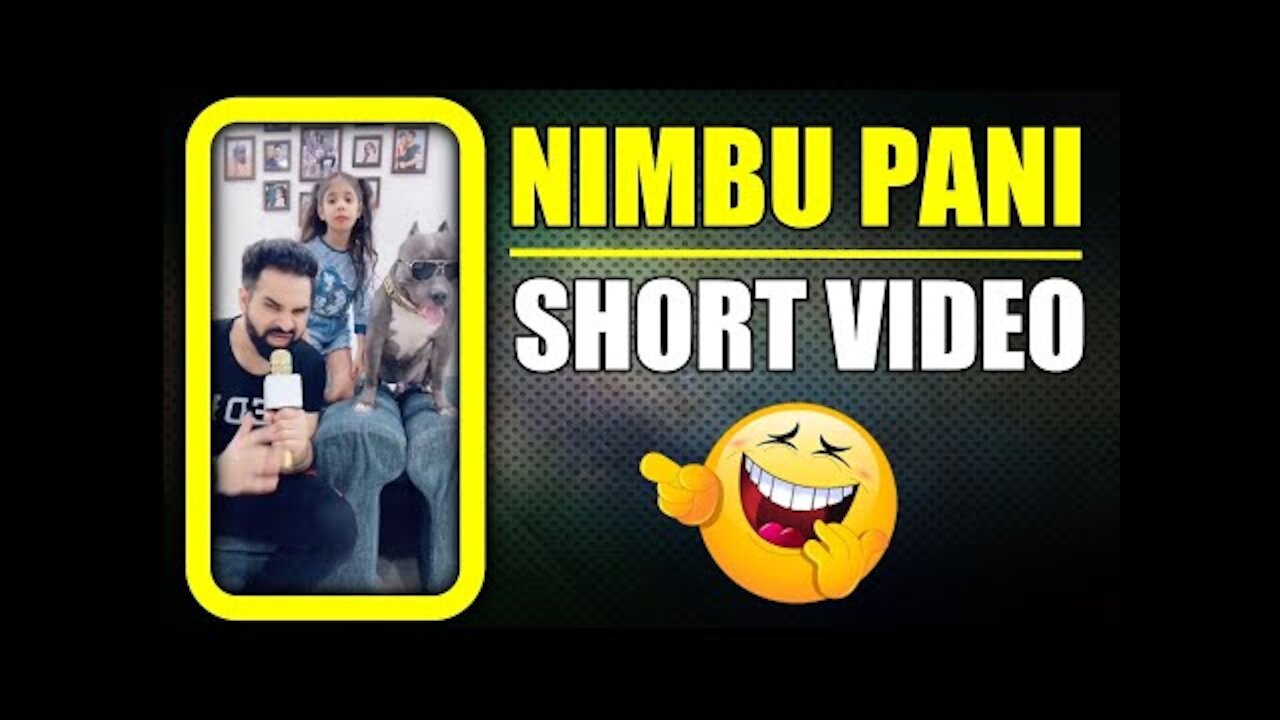 Anshu destroyed Jerry's favourite Teddy||cute dog video.