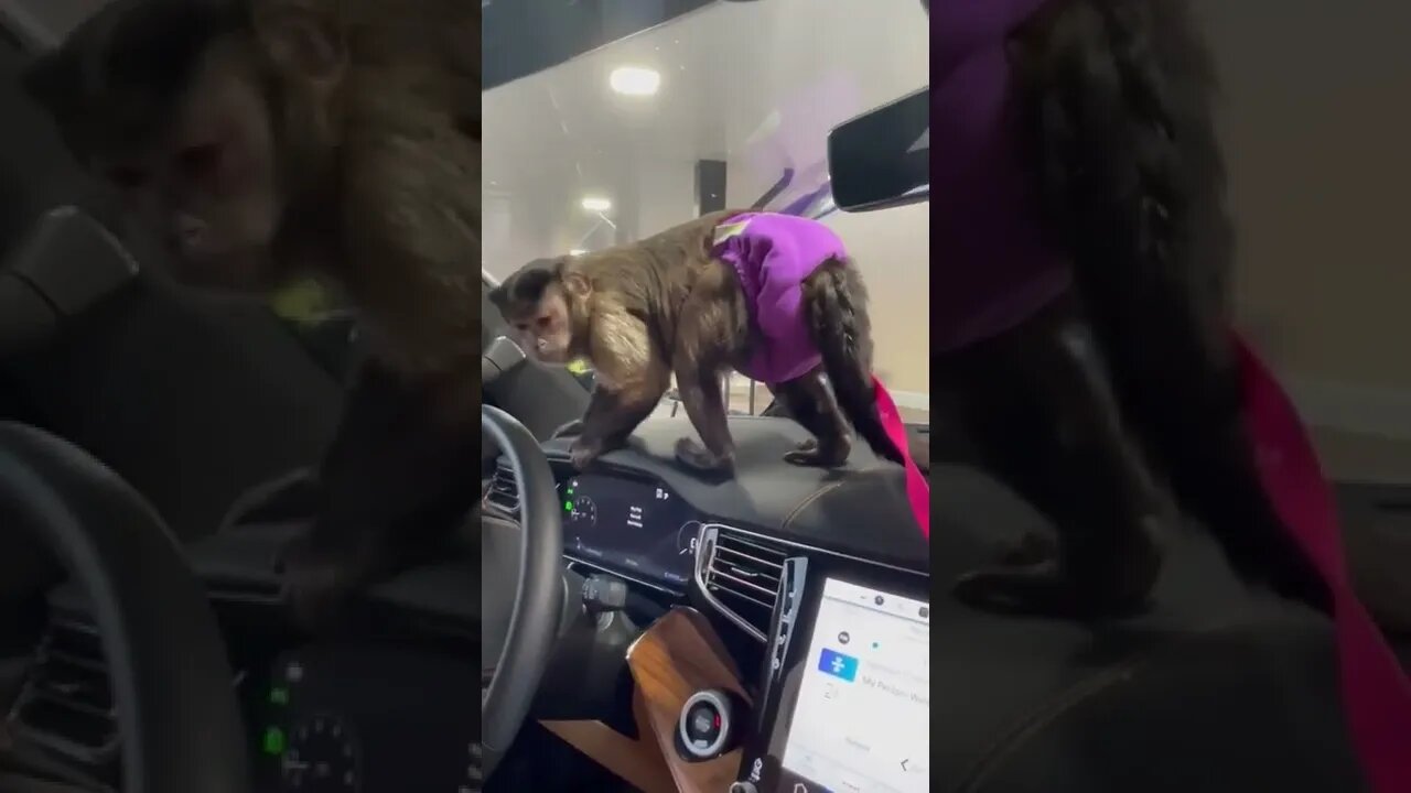 Car wash🚗💧 part 2!!! Im the best helper on the inside mom said 🤦🏻♀️🤣🤣🤣