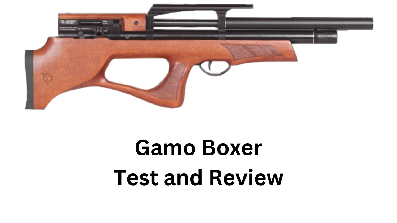 Gamo Boxer test and review