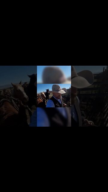 Loading 3 Horses at Once