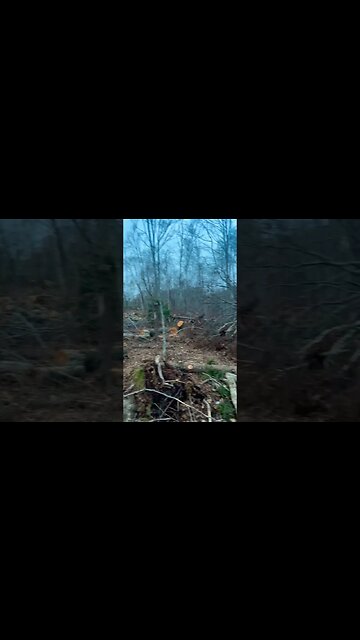 Hurricane Fiona damage months later 🤯