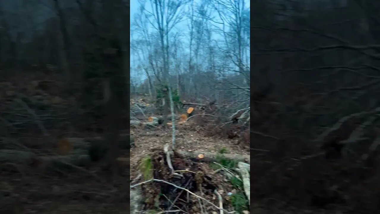 Hurricane Fiona damage months later 🤯