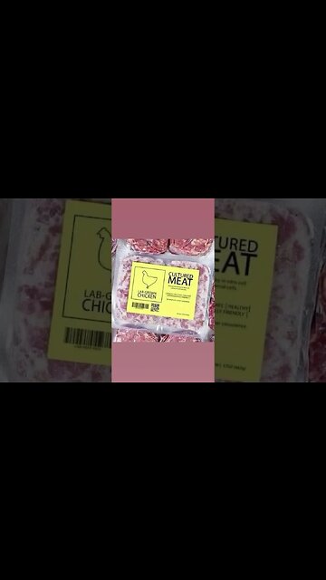 Y’all eating this Yes or No ? #labgrownmeat