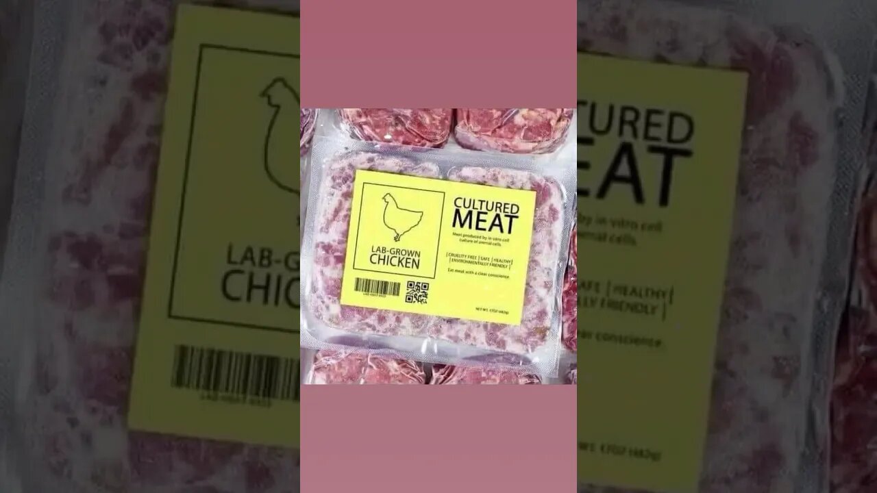 Y’all eating this Yes or No ? #labgrownmeat