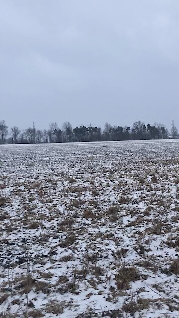 The rebirth of America will be so sweet!!!