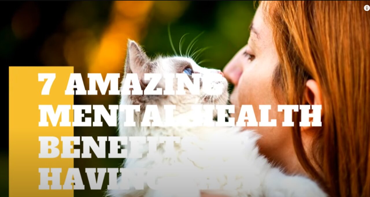 7 Amazing Mental Health Benefits of Having Cats, This will suprise you!