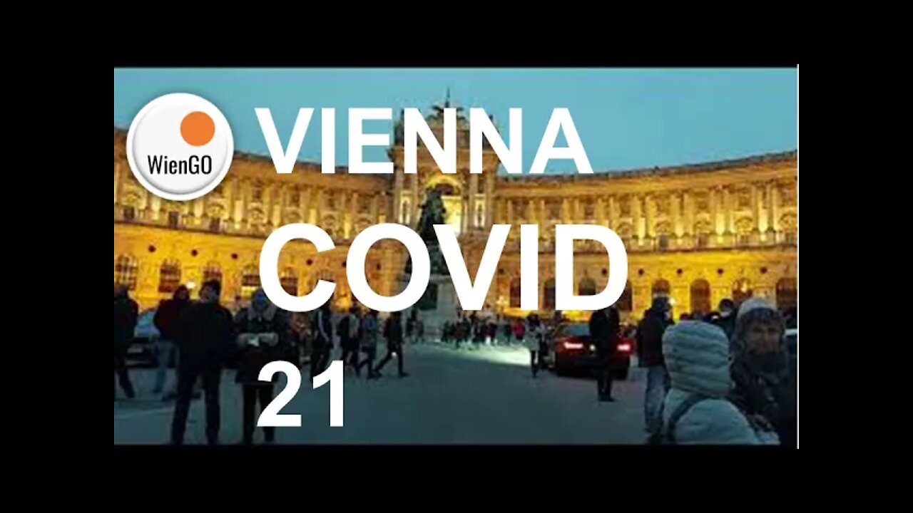 WienGo WIEN DEMO 26.12.21 (7)+++GEDENKEN AN DIE OPFER DER PANDEMIE 2021+++