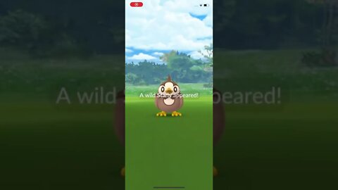 Shiny Starly Pokémon Go