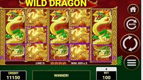 BIG WIN :{{ WILD DRAGON}} ¦ CASINO 💪💪