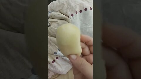 #etsukojunio #etsukofans #fransiscaofficial #teamfransisca #沉连清 #fransisca #fransiscametaworld