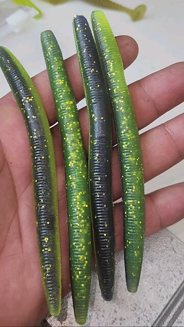 Laminated Stick Worms