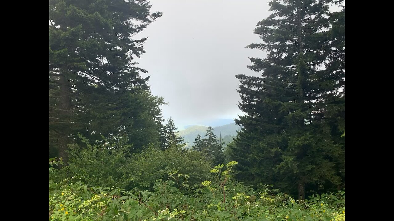 On my way back from clingmans dome