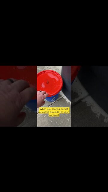 When You Score A Bucket Of Coffee Grounds For Your Compost