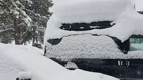 Extreme Winter Weather Warning, Southern Co. White Out Conditions, On Scene