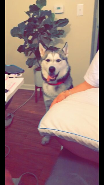 Wyd with your tongue tho?