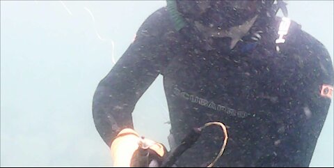 Spearfishing Nothing...but still worth it