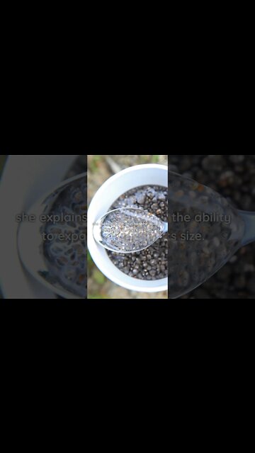 Beware! You Must Do This Every Time You Eat Chia!