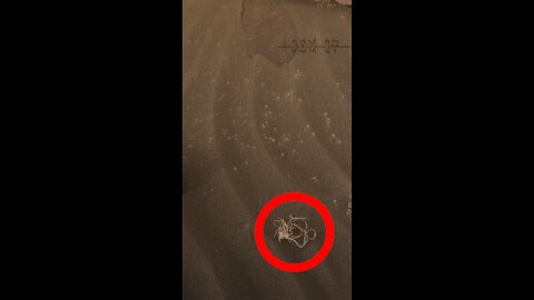 Som ET - 58 - Mars - Perseverance Sol 495 - Video 2