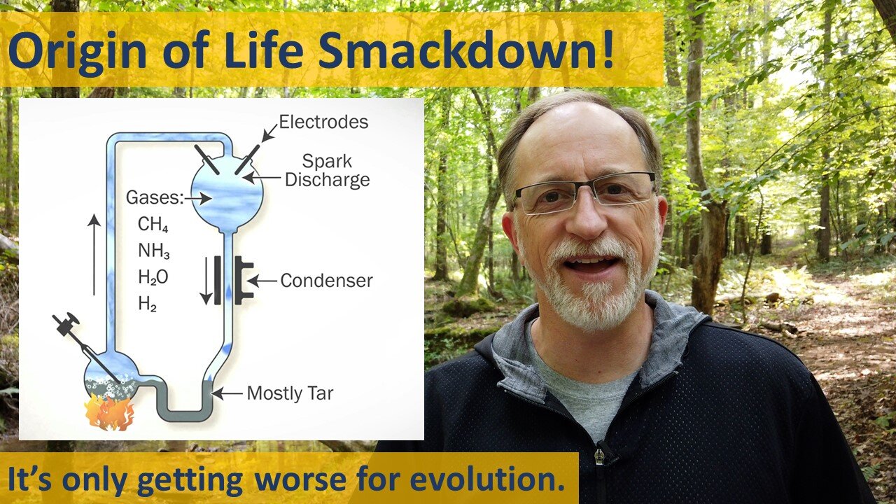 Origin of Life Smackdown!`