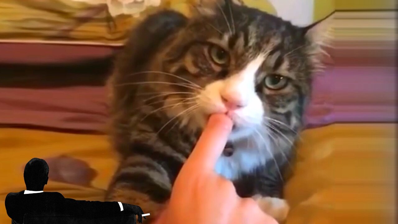 Cat Adicted to Sucking Fingers [Intradimensional Cable]