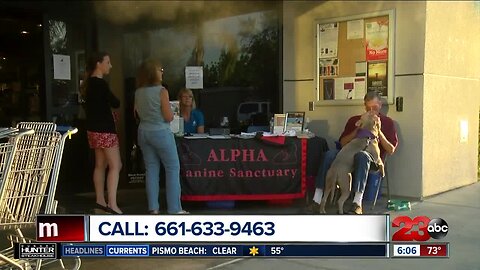 Alpha Canine Sanctuary holding its Fun and Fundraising event this week