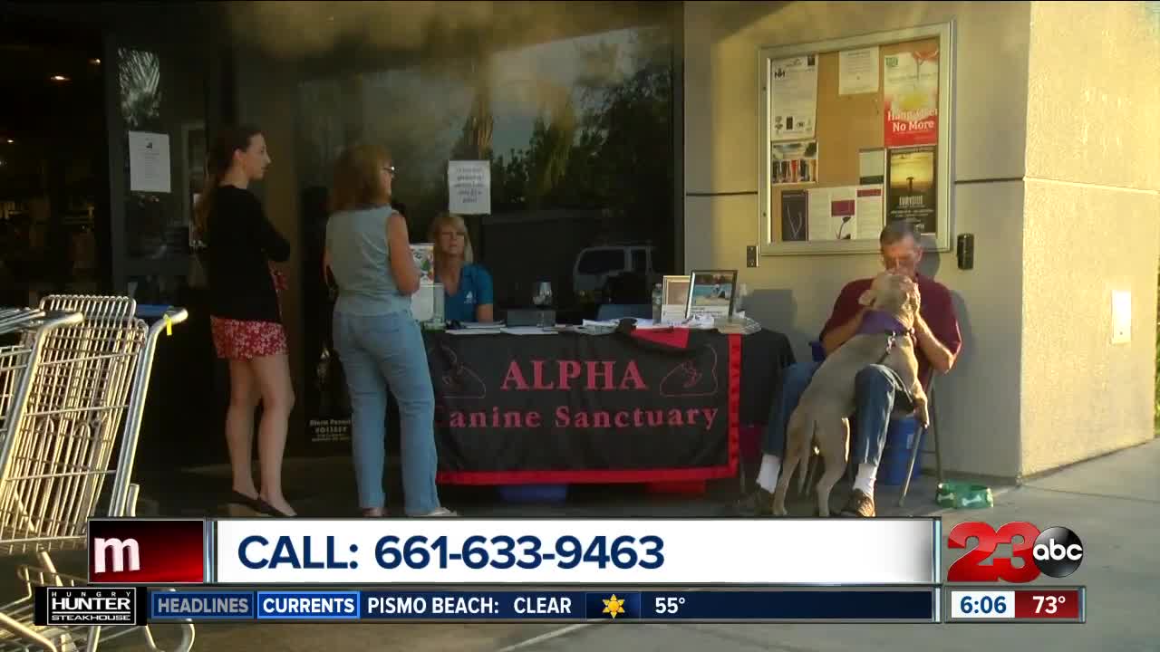 Alpha Canine Sanctuary holding its Fun and Fundraising event this week