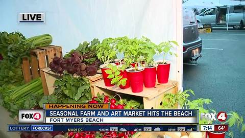 Season farm and art market opens on Fort Myers Beach - 7am live report