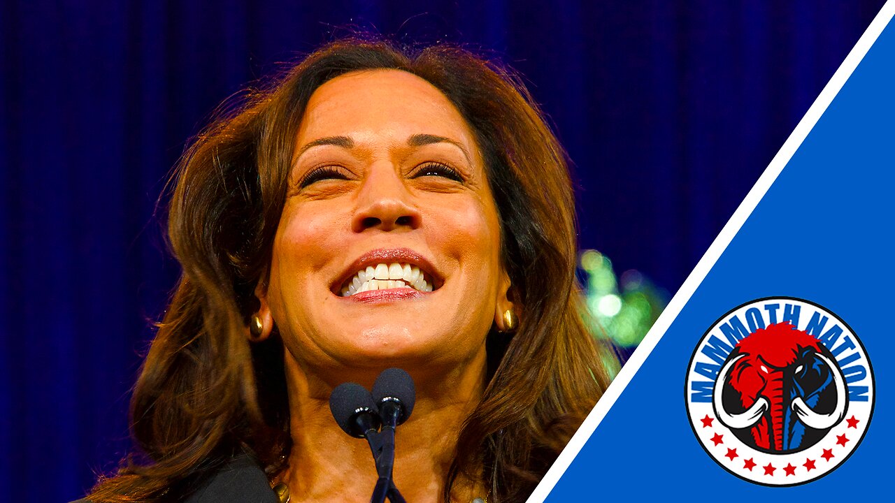 New Leftist Narrative: Conservatives are Racist for Calling Out Kamala’s Flaws