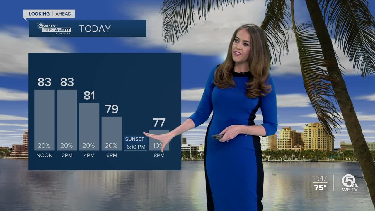 South Florida Tuesday afternoon forecast (2/11/20)