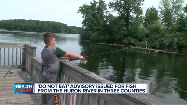 'Do not eat' advisory issued for fish from Huron River within Oakland, Washtenaw counties