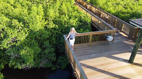 Hello from Naples Florida