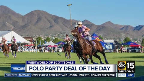 Polo Party Deal of the Day