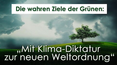 Die wahren Ziele der Grünen