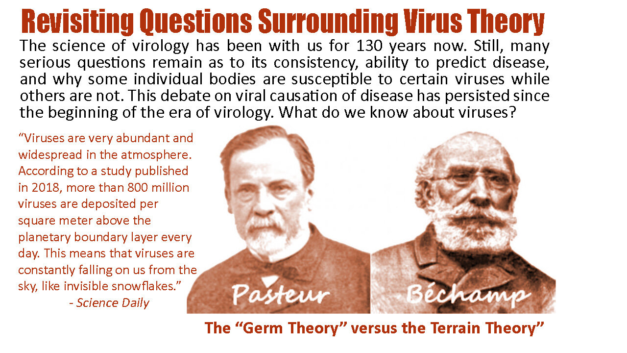 Revisiting Questions Surrounding Virus Theory