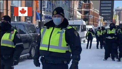 BREAKING IN CANADA - PRESS CONFERENCE WITH RETIRED CANADIAN MILITARY Tom Marazzo