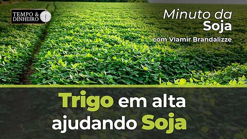 Trigo em alta ajudando Soja.