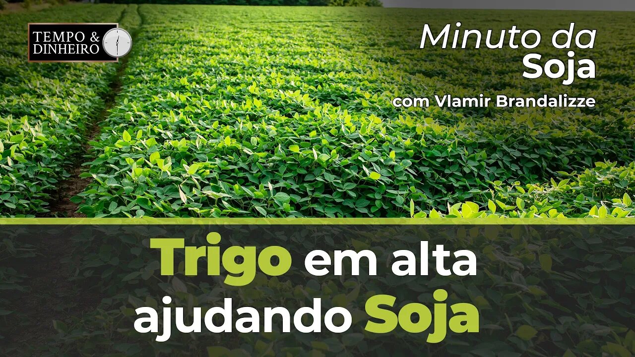 Trigo em alta ajudando Soja.