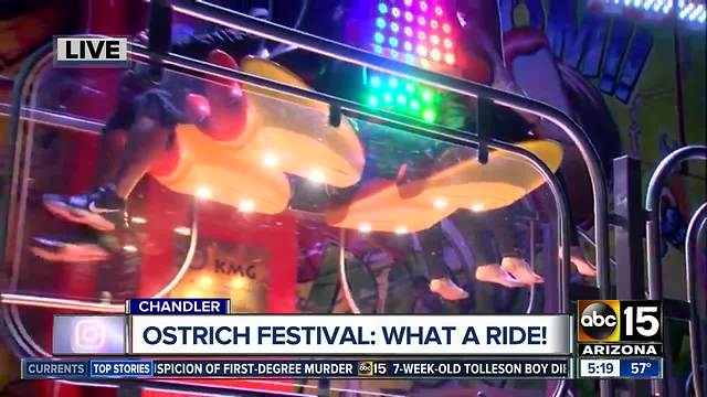 Get a sneak peek of the Ostrich Festival's carnival rides