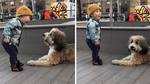 Toddler meets a puppy for first time .