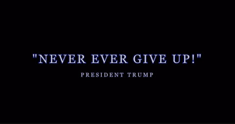 NEVER EVER GIVE UP PRESIDENT TRUMP -