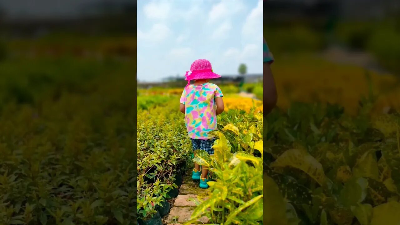 सुकुन 💖 #plants #sky #daughter #peace #calmness #sukoon #reelkrofeeelkro #vibes #happiness