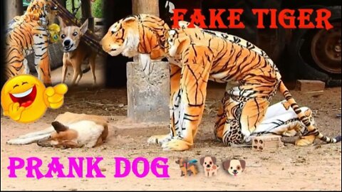 Fake dog pranks| Funny vedio|Funny dogs vedio